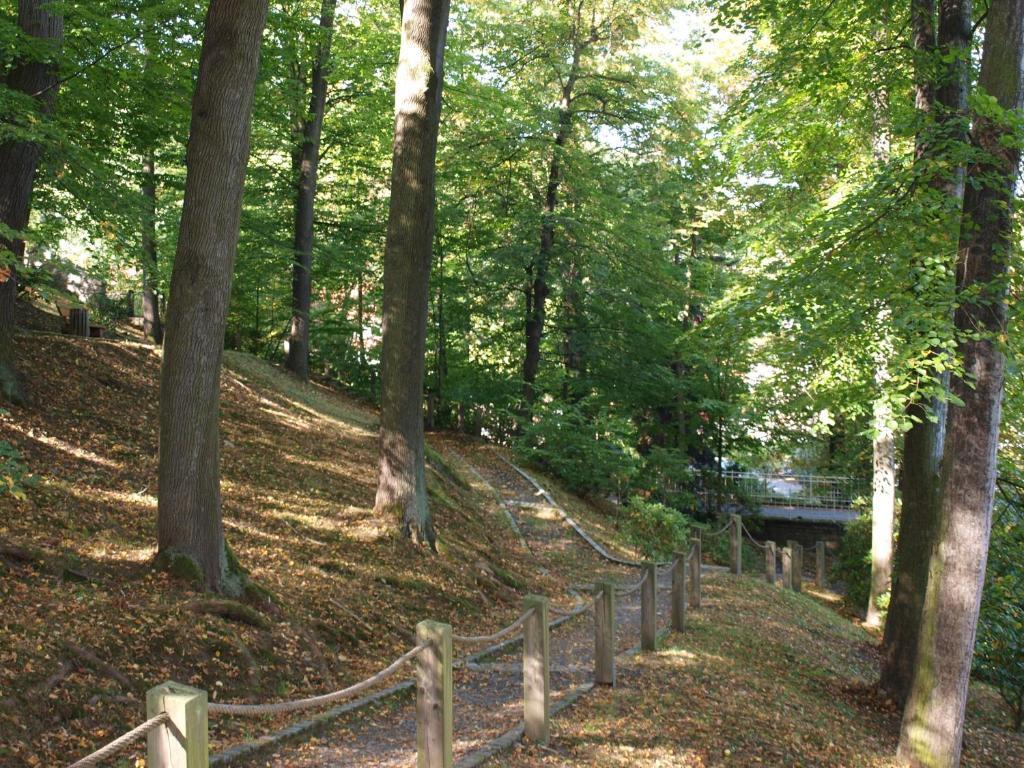 Hotel Saechsisches Haus Berggiesshübel Kültér fotó